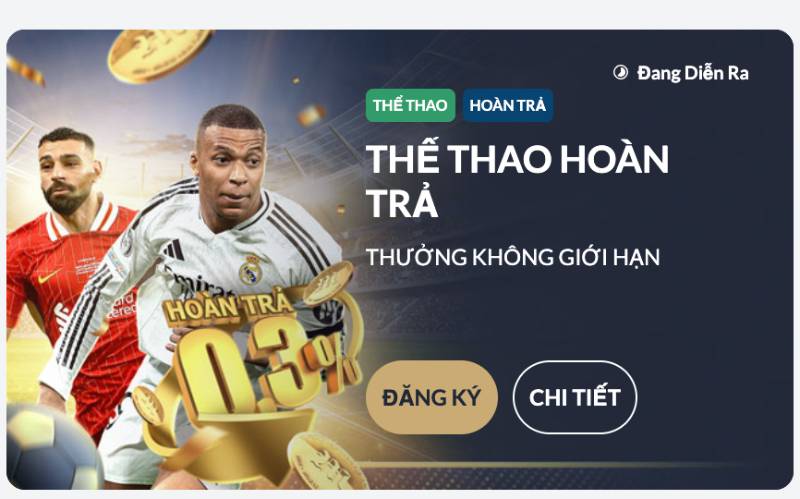 Khuyến mãi đặc biệt theo mùa giải – Cập nhật liên tục